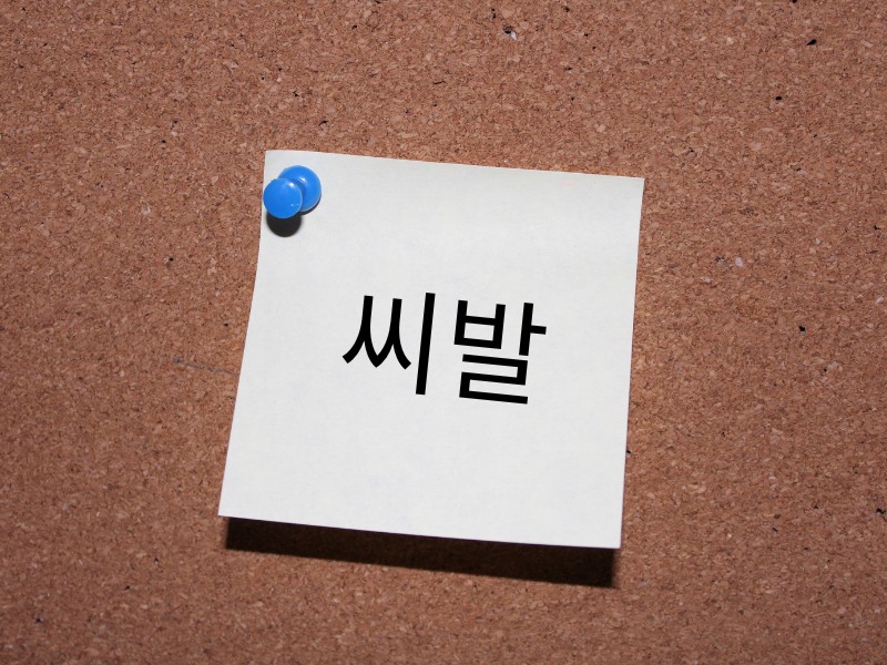 Shiba là gì, cách dùng từ chửi thề trong tiếng Hàn - Trung tâm du học Sunny