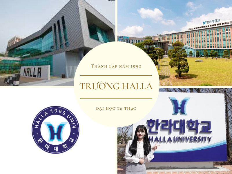 Đại học Halla Hàn Quốc - 한라대학교